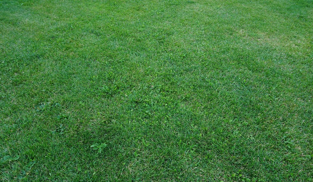 Choosing the Right Paving Material for a Small Patio