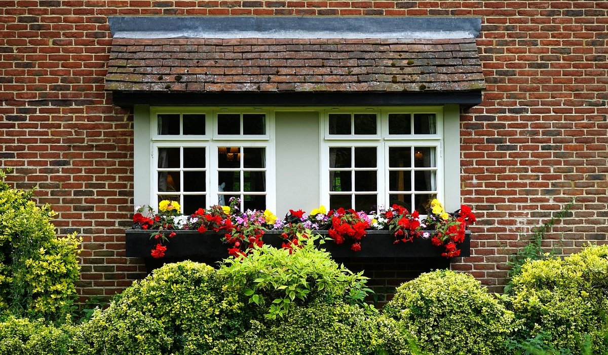 How to Improve Clay Soil Before Planting Shrubs