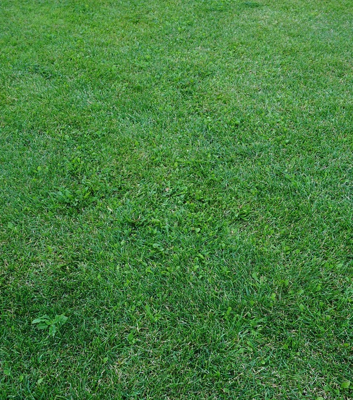 Yard Volume